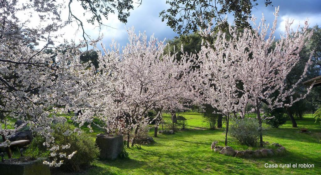 Casa Rural El Roblon Sartajada Kültér fotó